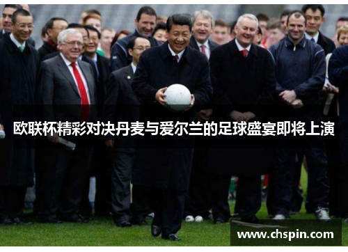 欧联杯精彩对决丹麦与爱尔兰的足球盛宴即将上演